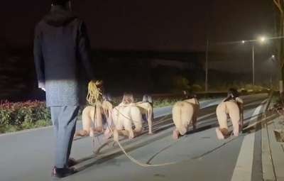 Tối Tối Phải Dắt 5 Em Gái Xinh Đi Dạo